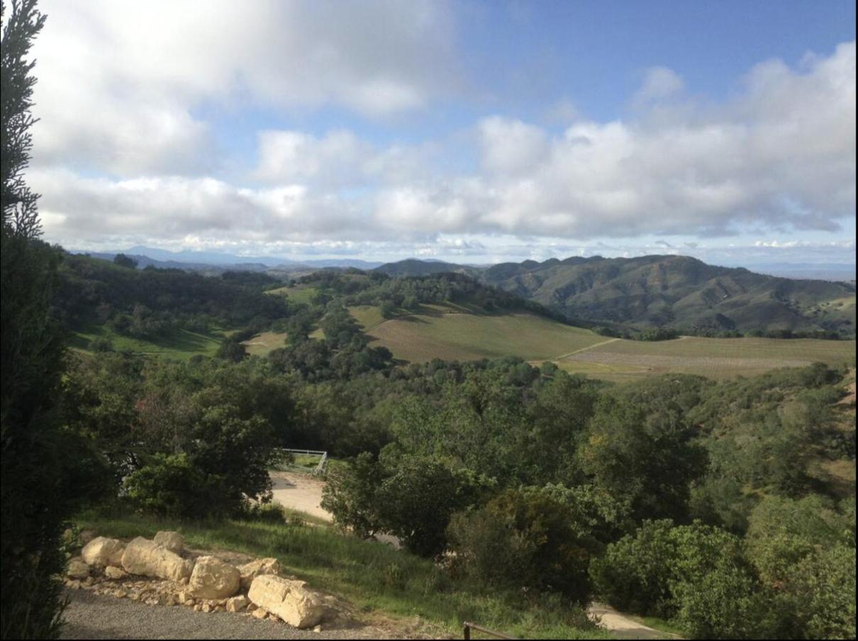 Lekai Ranch Forever Vineyard Views Adelaida Buitenkant foto